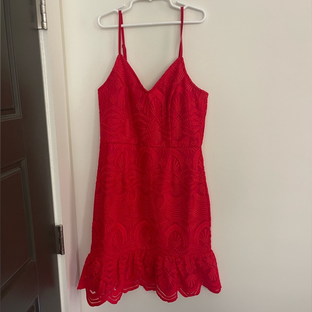 Lulus Red Lace Mini Dress